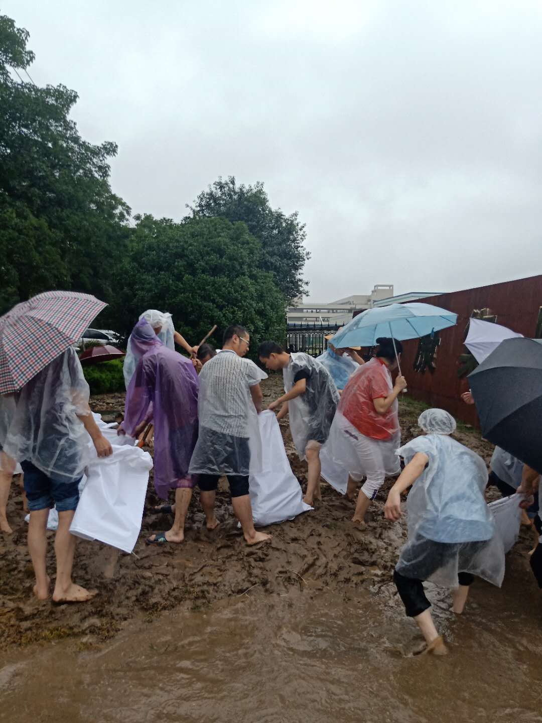 暴雨無情人有情——記暴雨過后排水搶險的衛(wèi)爾康人
